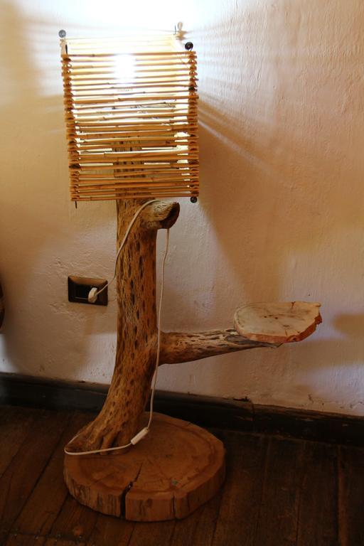 Cabana Hostal Ema Pisco Elqui Dış mekan fotoğraf