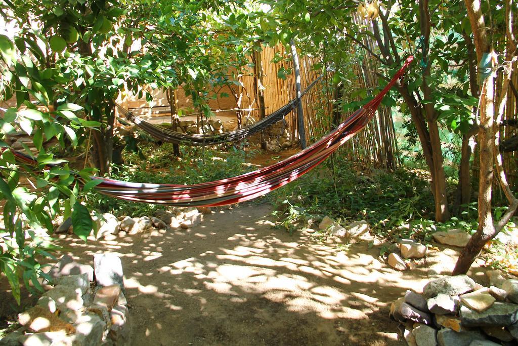 Cabana Hostal Ema Pisco Elqui Dış mekan fotoğraf